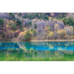 ROLLER σκίασης με ψηφιακό...