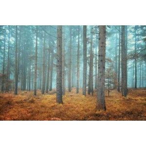 ROLLER σκίασης με ψηφιακό...