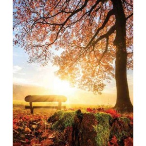 ROLLER σκίασης με ψηφιακό...