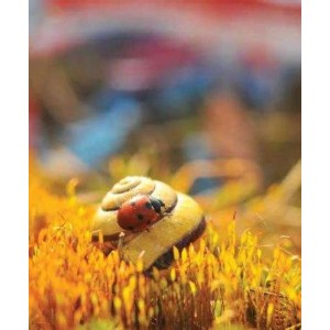 ROLLER σκίασης με ψηφιακό...