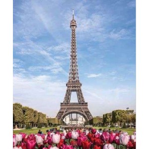 ROLLER σκίασης με ψηφιακό...