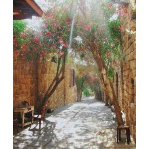 ROLLER σκίασης με ψηφιακό...