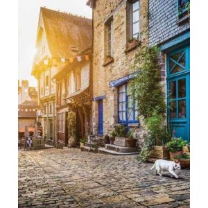 ROLLER σκίασης με ψηφιακό...