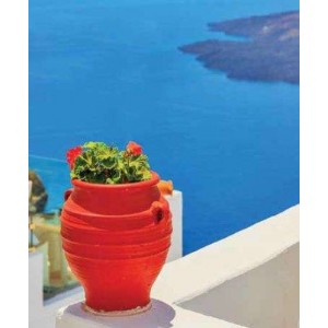 ROLLER σκίασης με ψηφιακό...