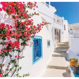 ROLLER σκίασης με ψηφιακό...