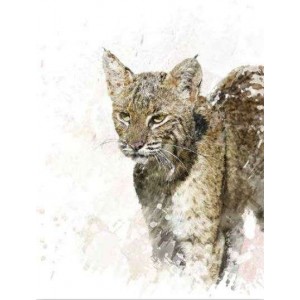 ROLLER σκίασης με ψηφιακό...