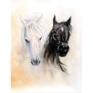 ROLLER σκίασης με ψηφιακό...