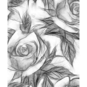 ROLLER σκίασης με ψηφιακό...