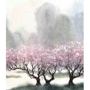 ROLLER σκίασης με ψηφιακό...