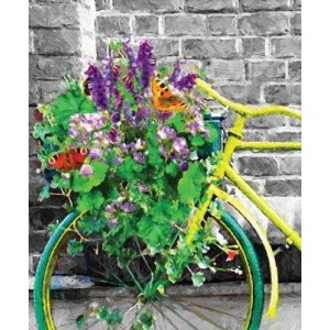 ROLLER σκίασης με ψηφιακό...