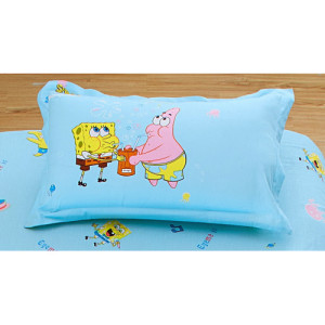 Μαξιλαροθήκες (050X075)... 2